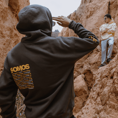 Hoodie Gris | Roots Collection